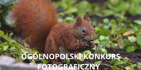 OGÓLNOPOLSKI KONKURS FOTOGRAFICZNY  „PRZYRODA JEST W MIEŚCIE”