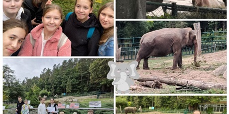 Powiększ grafikę: projekt-wielojezyczny-w-gdanskim-zoo-555887.jpg