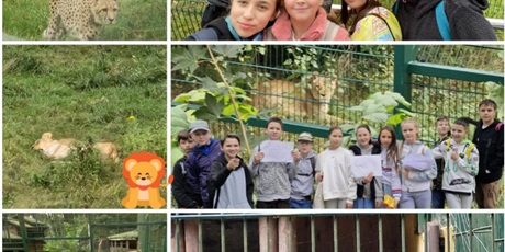 Powiększ grafikę: projekt-wielojezyczny-w-gdanskim-zoo-555888.jpg