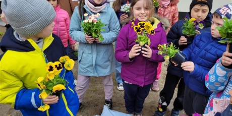 Powiększ grafikę: Wielobawna fotografia w kształcie prostokata leżącego przedstawiająca grupę dzieci z sadzonkami kwiatów na podwórku szkolnym 