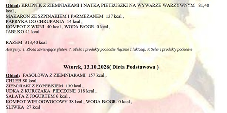 Powiększ grafikę: Jadłospis
