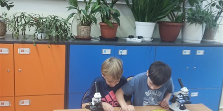 Pierwsze spotkania z mikroskopem
